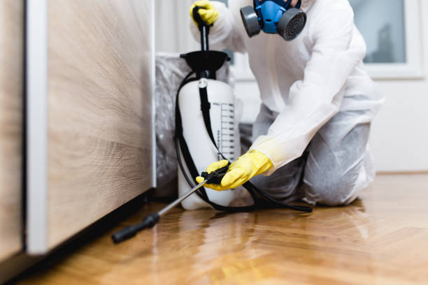 Best Pest Control Near Me in Potomac, MD