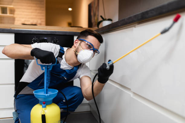 Best Best Pest Control Companies  in Potomac, MD