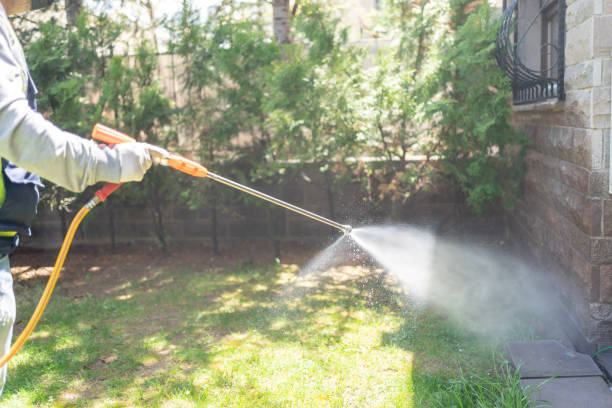 Best Pest Inspection Near Me  in Potomac, MD