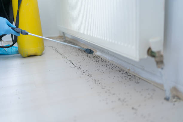 Trusted Potomac, MD Pest Control Experts