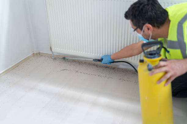 Best Affordable Pest Control Services  in Potomac, MD