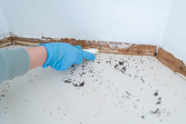 Best Pest Removal Services  in Potomac, MD