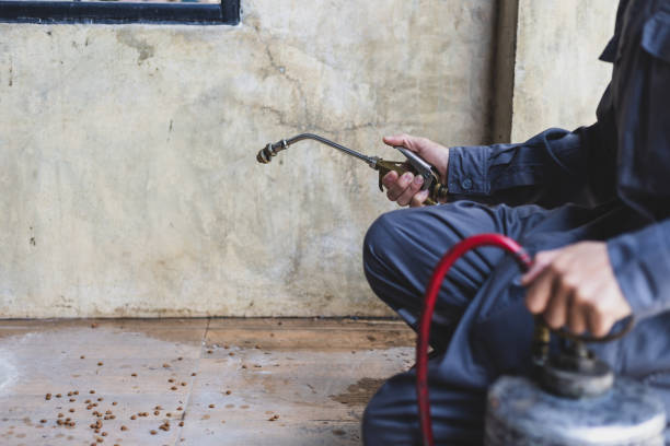 Best Mosquito Control Services  in Potomac, MD