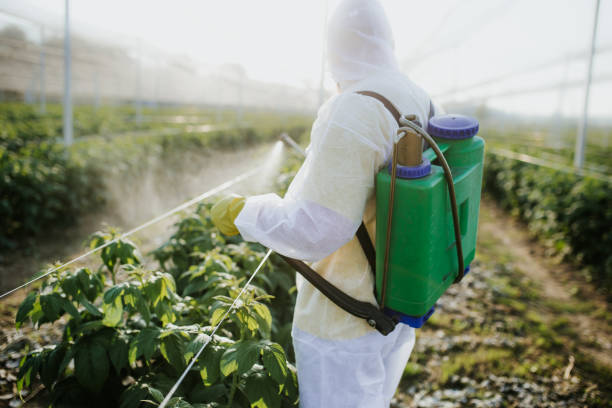 Best Pest Control for Businesses  in Potomac, MD